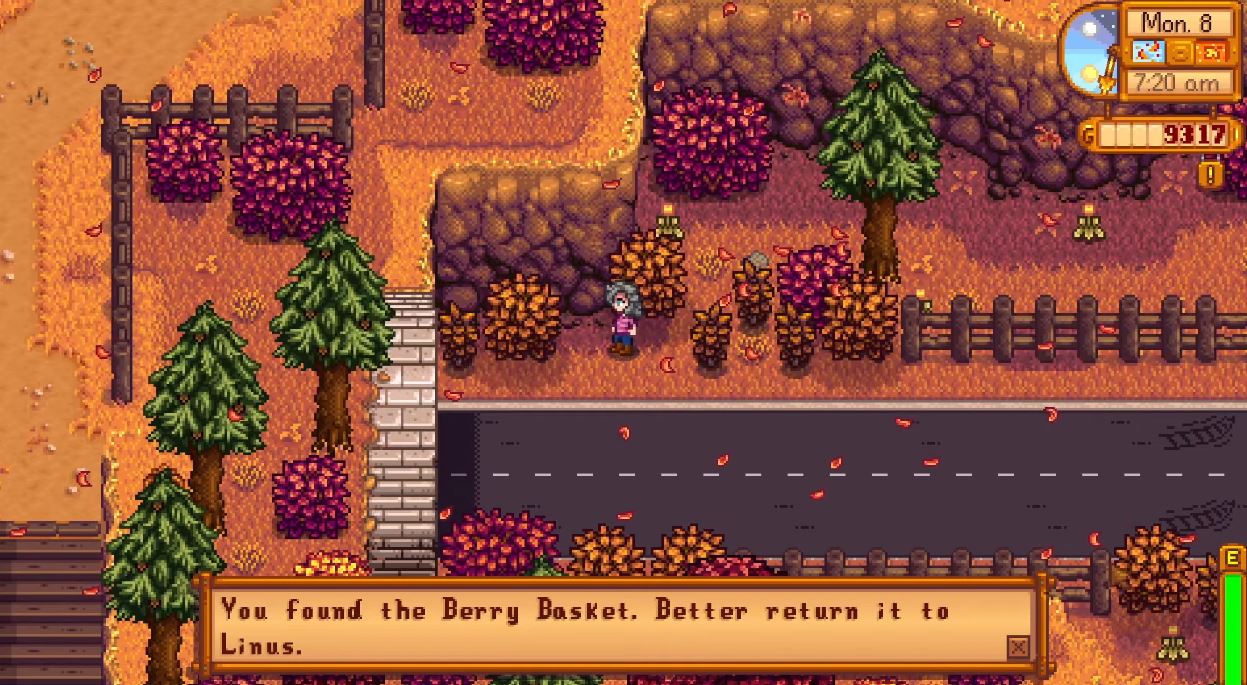 Linus Basket In Stardew Valley