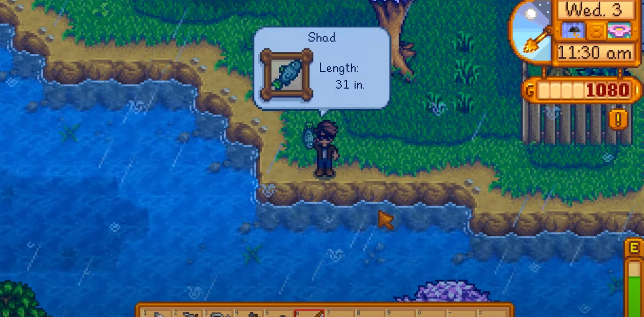 Shad In Stardew Valley