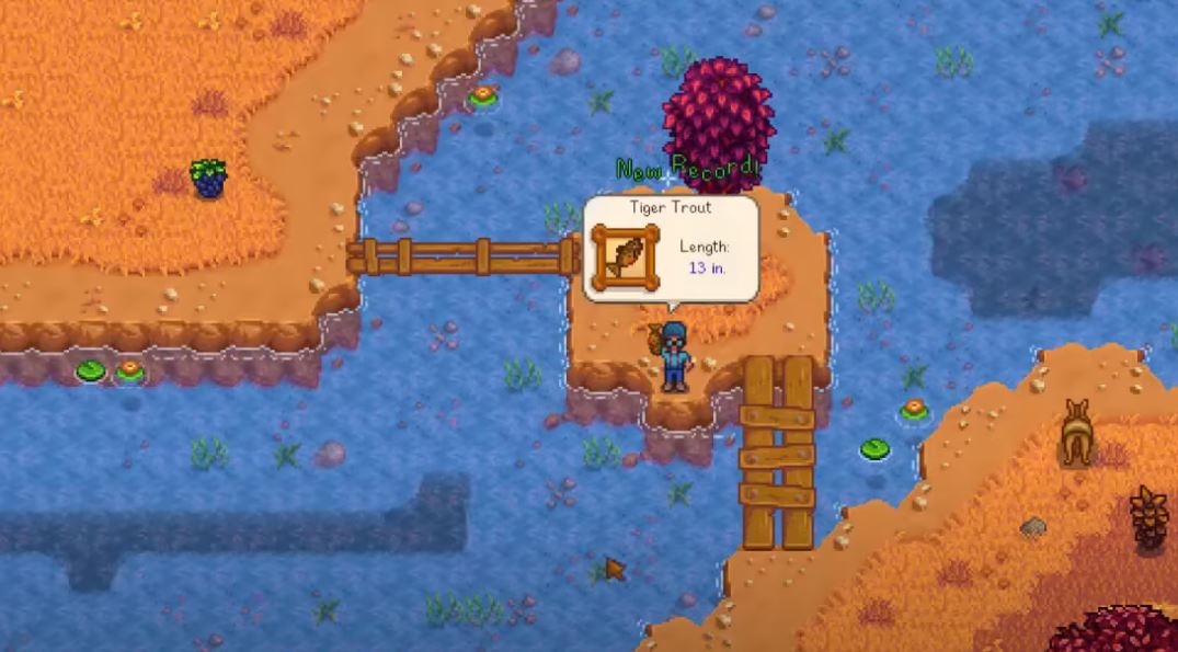 Toger Trout In Stardew Valley